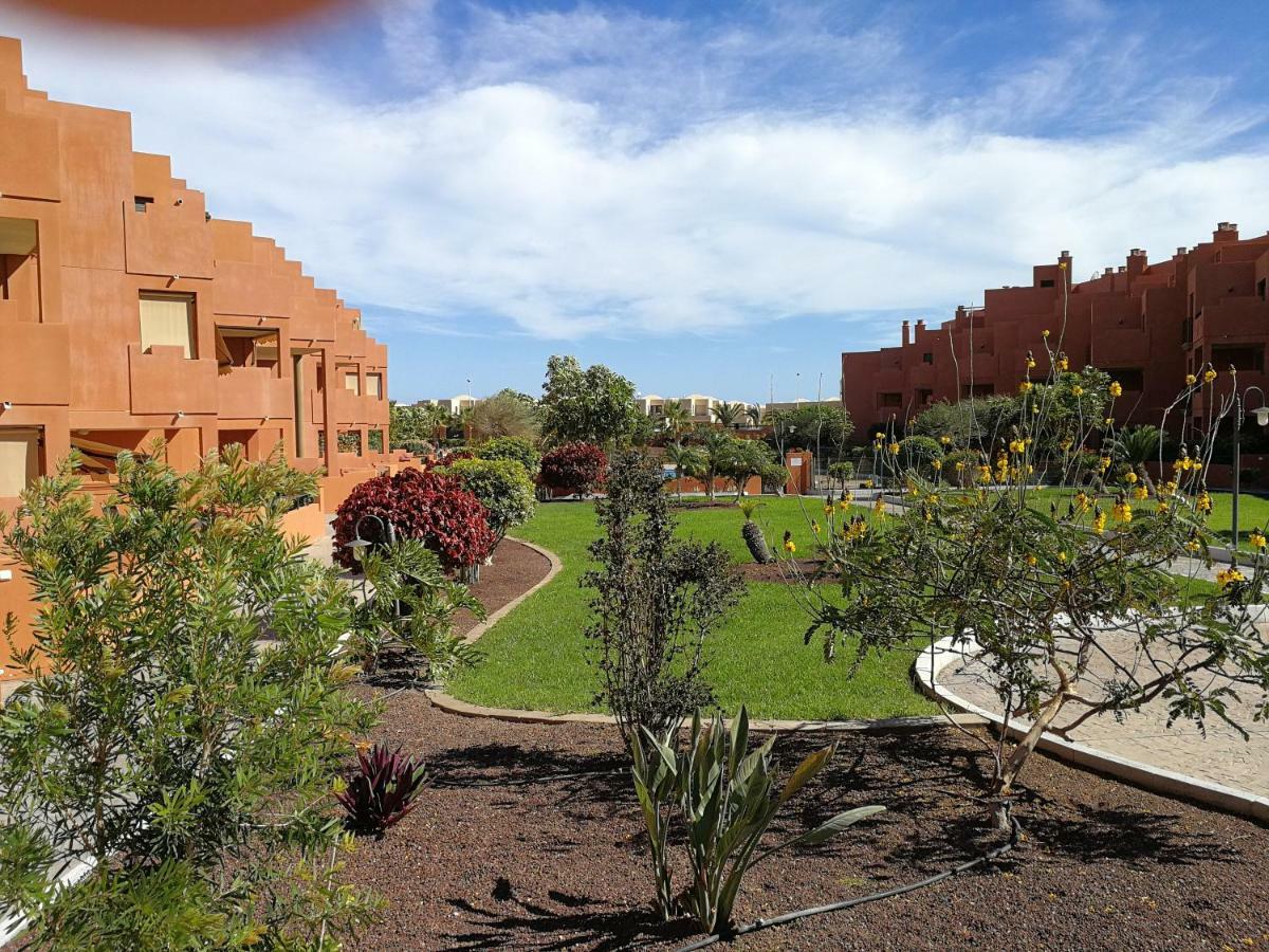 alquilaencanarias El Medano Sotavento, Pool, Great Terrace&beach Exterior foto